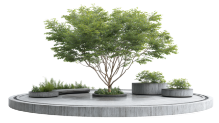Modern urban garden design featuring a lush green tree and various plants in concrete planters, creating a contemporary outdoor living space on transparent background