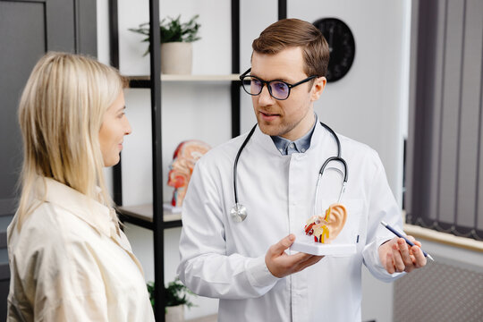 A young attractive otolaryngologist doctor shows a model of the ear and tells the patient about the structure of the ear