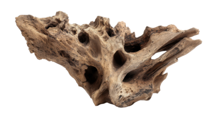 Weathered driftwood presenting organic shapes and a natural texture, featuring holes and patterns crafted by time and erosion, ideal for earthy and naturalistic themes