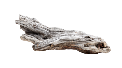 Weathered grey driftwood branch showing natural textures and an organic abstract shape, isolated on a transparent background, ideal for rustic designs and nature concepts