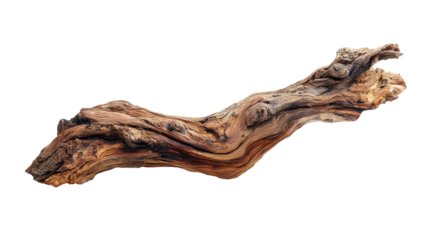 Natural driftwood piece displaying weathered texture, brown and gray tones, offering organic shapes and rustic charm with transparent background