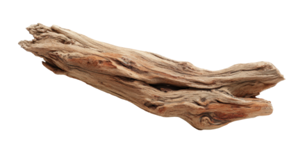 Weathered driftwood piece showing unique organic texture and intricate patterns, a natural element for rustic decor or design, isolated on transparent background
