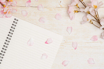 卒業入学イメージ｜桜とノート