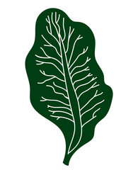 green leaf png vector icon representing botany or herbal medicine, simple plant graphic for nature or healthy food application, vector illustration