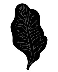 Black leaf png vector icon representing botany or herbal medicine, simple plant graphic for nature or healthy food application, vector illustration