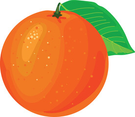 Orange fruit isolated on white background	