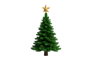 A green Christmas tree with a golden star on top
