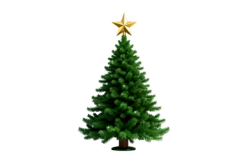 A green Christmas tree decorated with a golden star on top