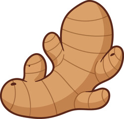 Light brown ginger root, simplified cute curved shape, cartoon vegetable vector