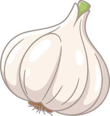 White garlic bulb, smooth soft shapes, friendly learning style vector for kids