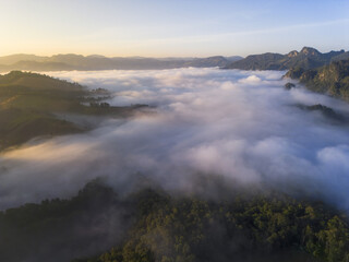 Fototapeta premium Majestic aerial view showing beautiful sea of fog covering green forest valley between mountains during serene sunrise. tranquil and peaceful natural landscape