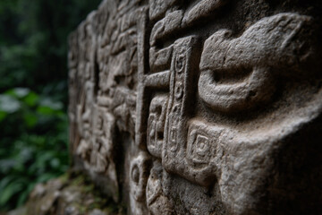 Mayan hieroglyphs carved into stone at an archaeological site.