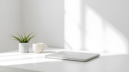 Minimalist workspace with closed laptop and plant
