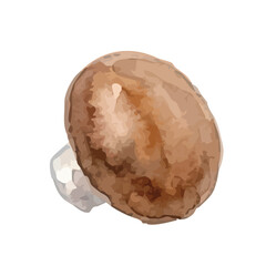 Watercolor-style mushroom illustration／マッシュルーム