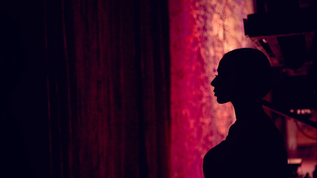 Ballerina side silhouette positioned near stage curtains in low light. Concept of entry procedures, focus transition zone and performer readiness state within backstage movement systems.
