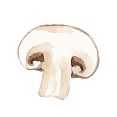 Watercolor-style mushroom illustration／マッシュルーム