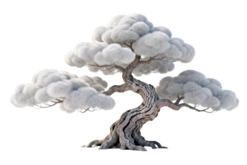Unique and artistic bonsai tree with fluffy cloud-like foliage