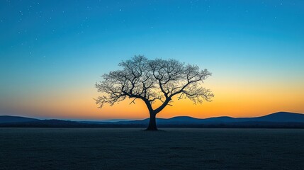 Silhouetted tree at dawn