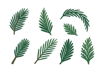 Pine branch set, flat vector illustration, green leaves, evergreen, needles
