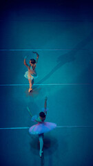 Paired ballet figures arranged in staggered formation. Concept of spatial alignment checks, multi-level phrasing, mirrored orientation and sculpted duet navigation across stage lines. © Lustre Art Group 