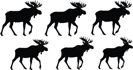 Diverse Flower Silhouettes Vector Collection Set, Botanical Icons of Different Garden Plants, Rose, Daisy, Poppy and Wildflower Graphics for Decoration, Nature and Floral Design Elements.