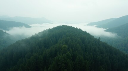 Obraz premium Misty mountain landscape with forested peaks and foggy lake