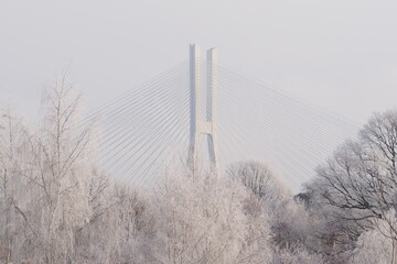 Górna część mostu na tle zaśnieżonych koron drzew © vofchok