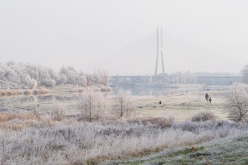 Most Rędziński we Wrocławiu zimą na tle rzeki Odra © vofchok