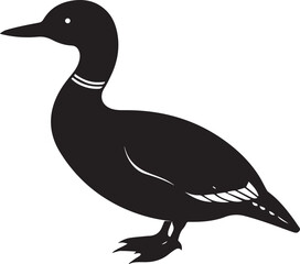  A loon bird silhouette vector illustration.