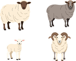 Detailed Medical Vector Illustration of Human Kidney Anatomy with Cross-Section Showing Renal Artery, Vein, Cortex, and Medulla, Ideal for Biology, Urology, and Health Care Education.