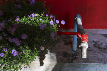Tranquil garden scene showing an outdoor water tap on red wall next to purple flower. bright summer...
