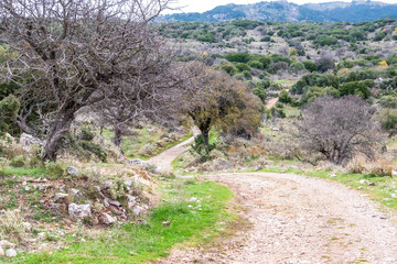 Menalon trail, 75 km trekking in Arcadia, Peloponnese, Greece, Europe