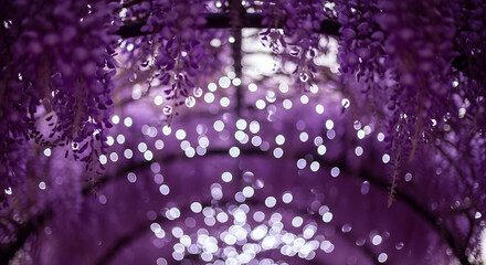 Abstract Purple Wisteria Tunnel with Bokeh Lights creating a dreamy background floral design decoration light tunnel flowering plant beautiful blossom blur