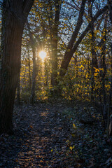 Obraz premium Richmond, Virginia