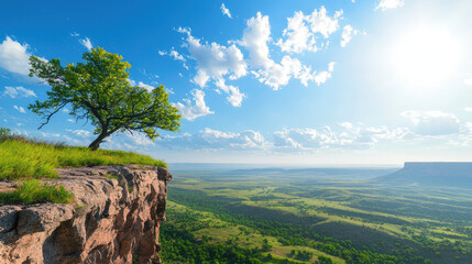 Stunning landscape featuring solitary tree rocky cliff, overlooking vast green valley bright blue sky with fluffy clouds. scene evokes sense