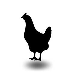 Rooster silhouette illustration vector design.