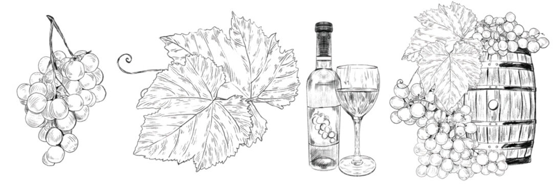 Set with wooden barrel, glass of wine and grape branch with bunches of grapes and leaves. Concept of winemaking, production and sale of wine. Graphics for wine stories, tasting, market, menu, wine lis