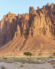 Saudi Arabia. Al Disah