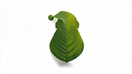 Obraz premium A single vibrant green leaf creatively shaped into a festive winter holiday hat, embodying a natural, sustainable, and eco-conscious spirit for seasonal celebrations