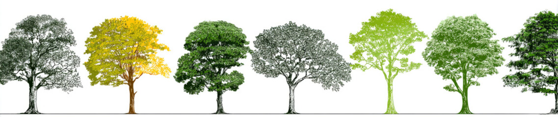 Obraz premium Series of seven trees with diverse shapes and textures, featuring various shades of green and yellow foliage, detailed branches and trunks