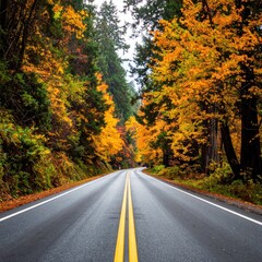 Fototapeta premium Autumn road through a colorful forest