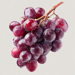 Deep Red Burgundy Wine Grapes Bunch with Brown Stem Isolated - Fresh Ripe Fruit Stock Photo