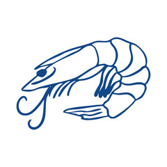 Shrimp in a sketch style, with loose and irregular lines, hand-drawn in a doodle format. Seafood. Vector illustration