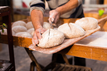 yeast dough in the form of loaves waiting to be cooked