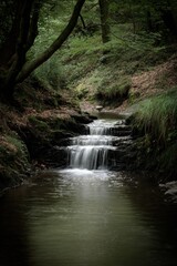 Fototapeta premium Waterfall landscape in the forest