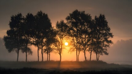 Obraz premium Mystical grove of trees is silhouetted against a foggy sunrise with the golden sun orb breaking through the mist in an ethereal scene.