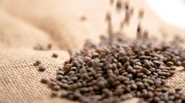 Dry lentils falling onto a rough burlap cloth in slow motion. A legume ingredient.