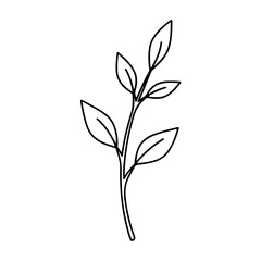 Simple line drawing of a plant stem with leaves, isolated on a white background, symbolizing growth and nature. isolated on transparent background