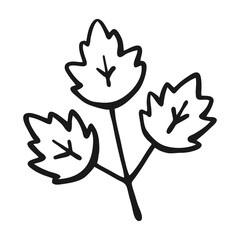 Hand Drawn Simple Herb