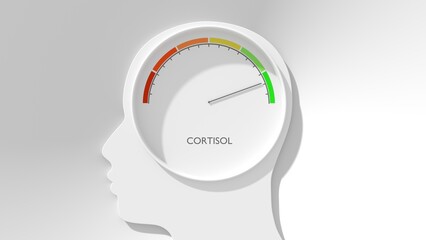 Fluctuation of the hormone cortisol concentration in humans. Cortisol secretion. Gradient scale. Hormone level measuring device as human head. 3D render